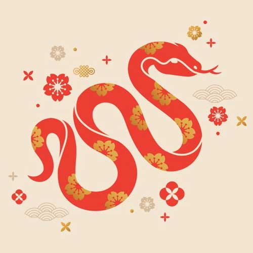 The Chinese New Year Festival